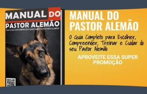 adestrar seu pastor alemão