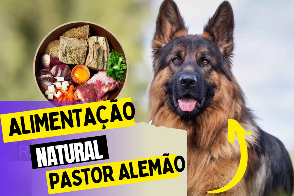 alimentacao natural para pastor alemao