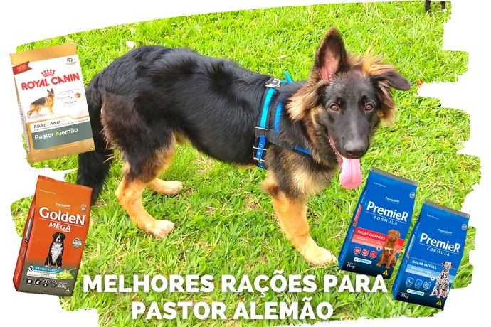 as melhores marcas de ração para pastor alemão