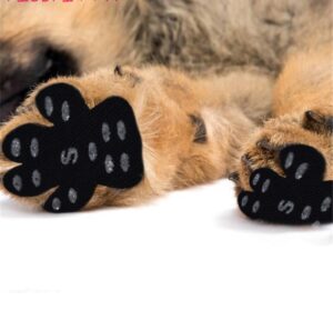 cachorro usando paw pads