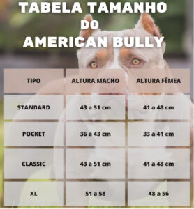 TABELA DE CRESCIMENTO DO AMERICAN BULLY