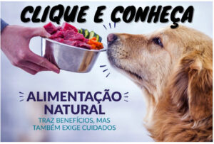 cachorro sendo alimentacao por comida natural