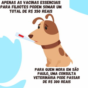 cachorro com termometro na boca e preços de procedimentos veterinarios