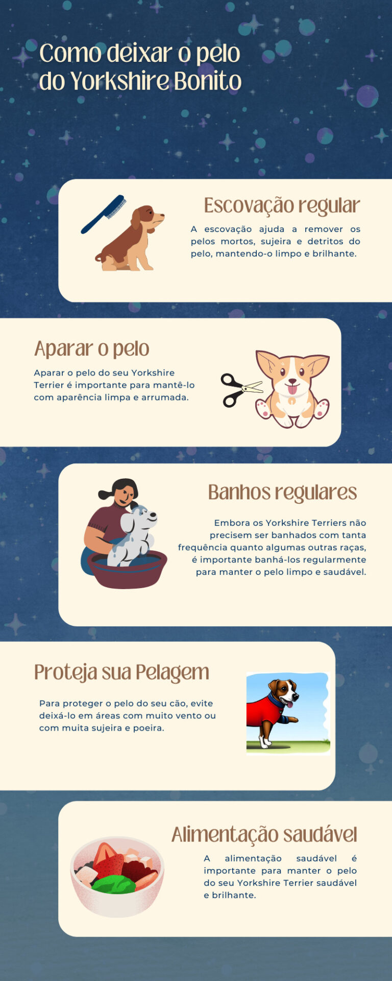 Infografico de Como deixar o pelo do Yorkshire Bonito