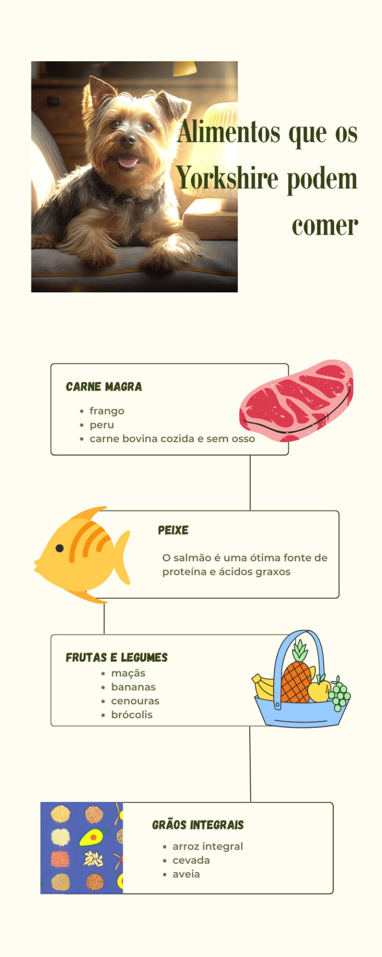 infografico de alimentos que yorkshire pode comer