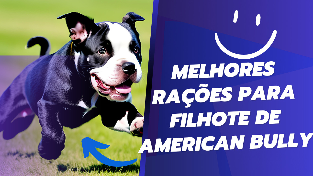 melhores raçoes para american bully filhote