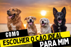 Qual raça de cachorro eu devo Escolher ??